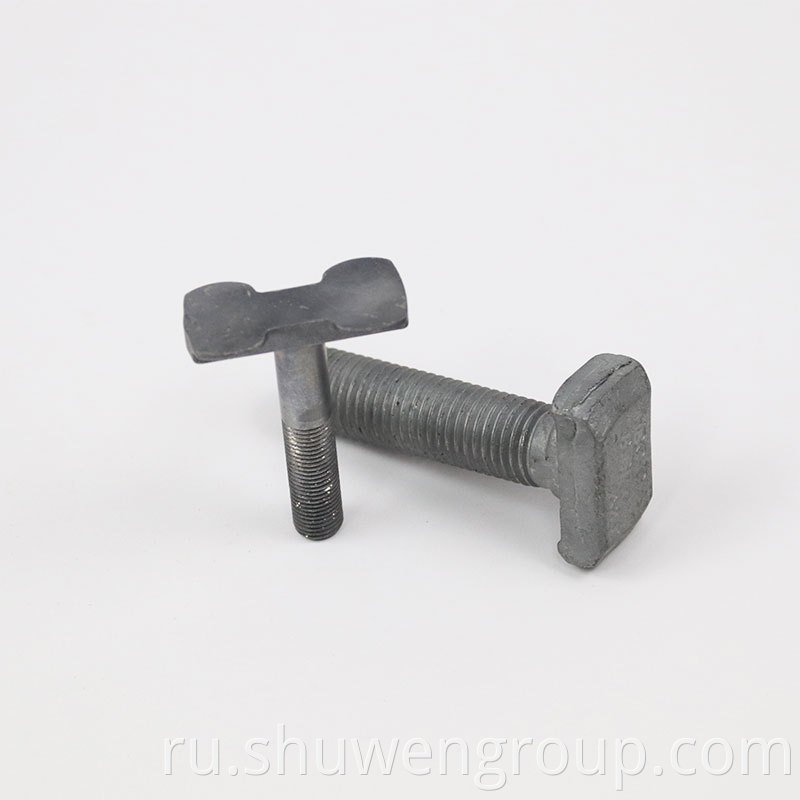 T Type Bolts